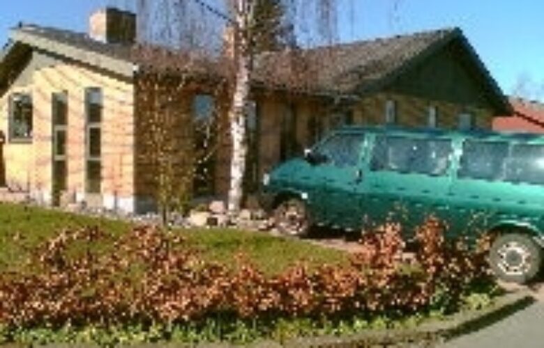 Solsikken