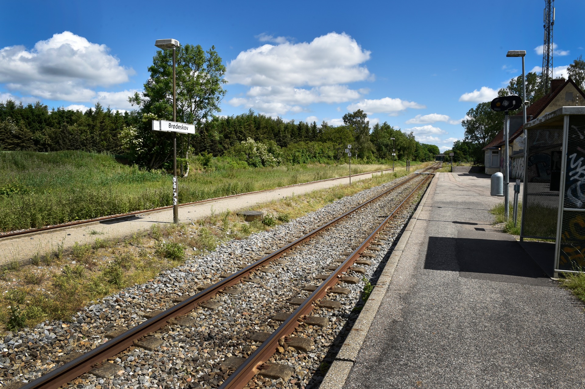 DSC7870