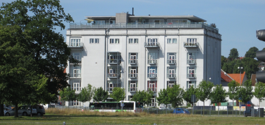 Frøavlen