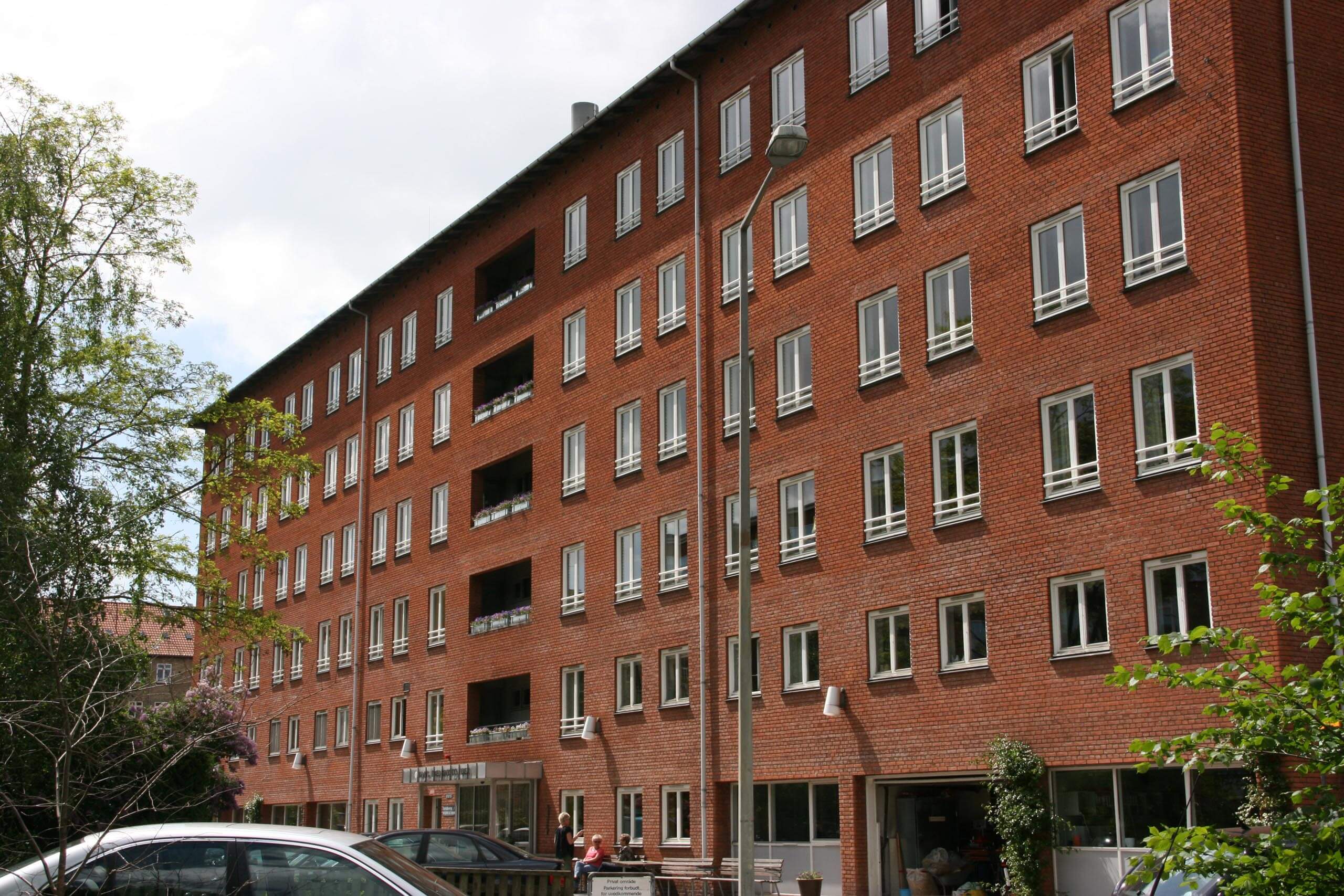 IMG 7287 1 1