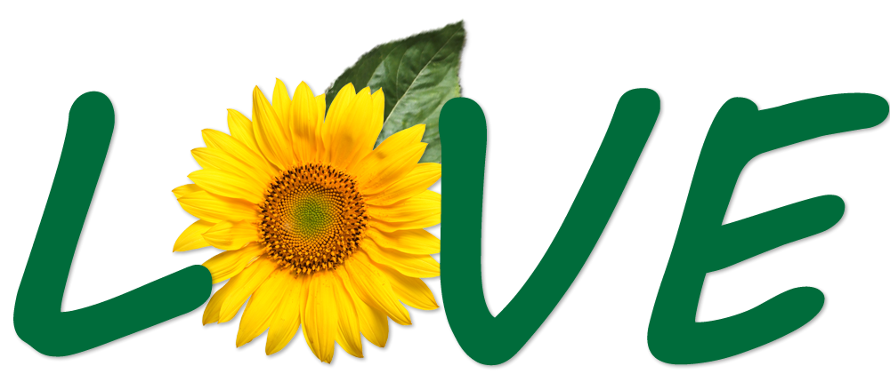 Løve