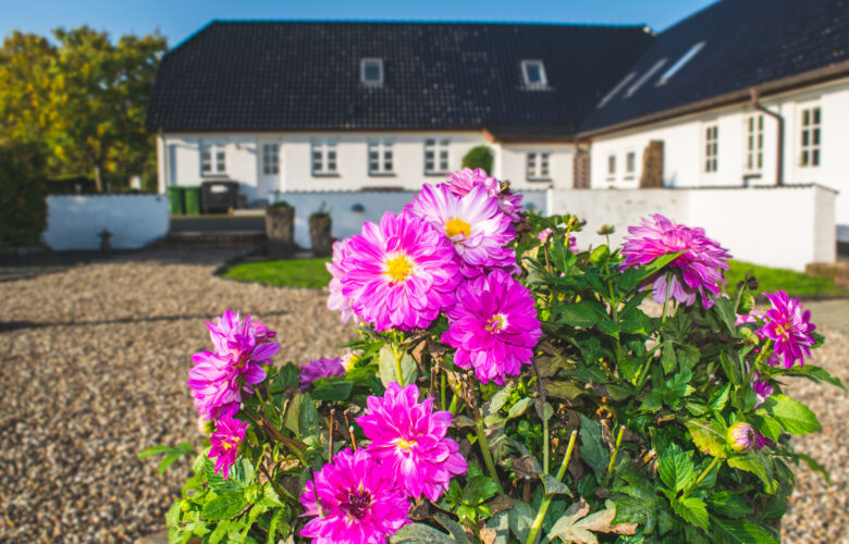 Fonden Pamhulebo