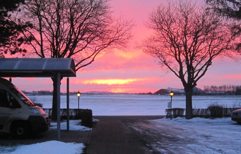 Rosengården