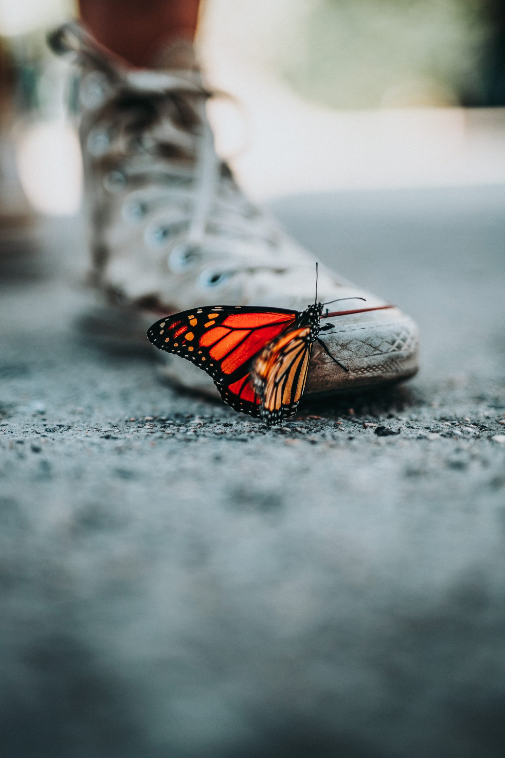 nathan dumlao mNLymMqX7iE unsplash 1 scaled