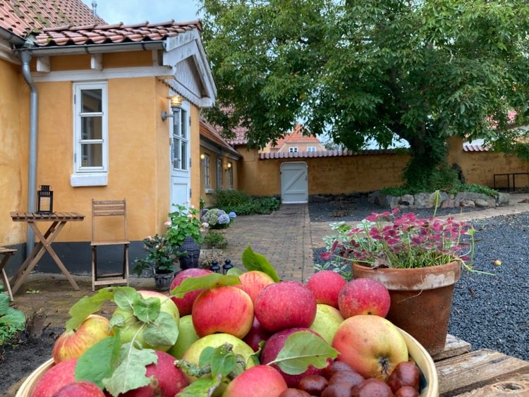 bjaeverskovhus pressemeddelelse 1