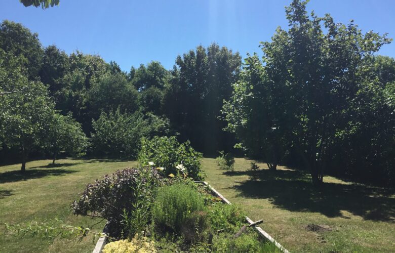 GRØNMOSE​GÅRD