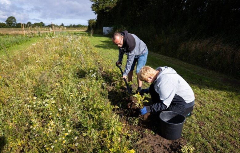 Fangelbogård Beskæftigelsestilbud